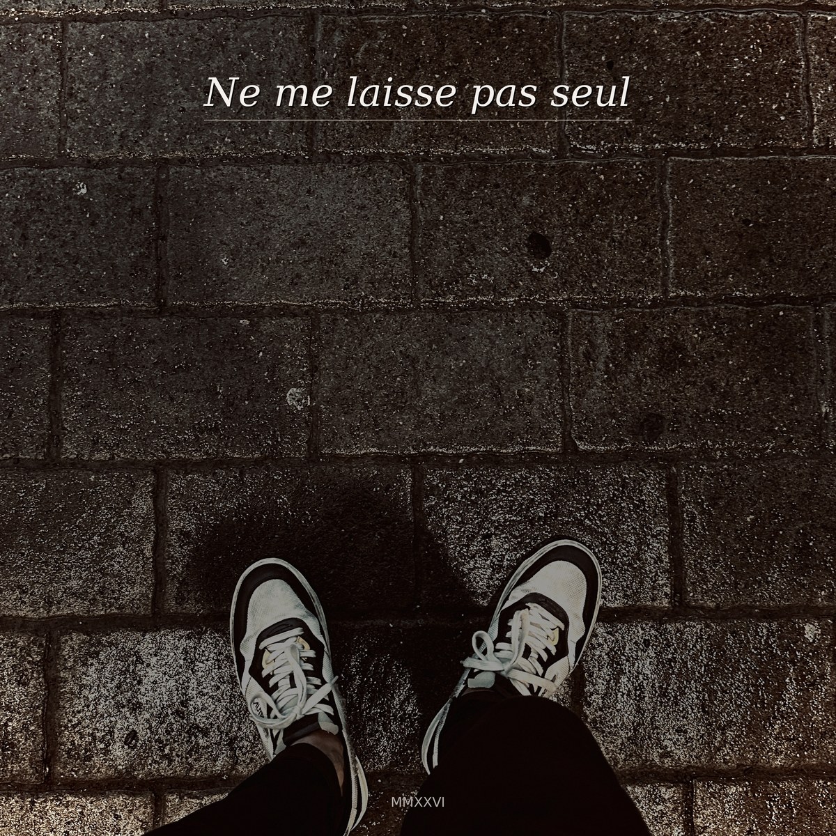 Ne me laisse pas seul — David Alexandre